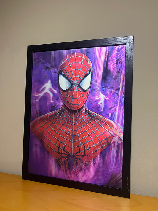 Spider Man 3D Frame