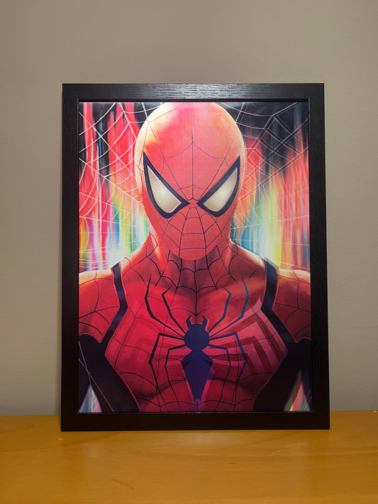 Spider Man Black & Red 3D Frame